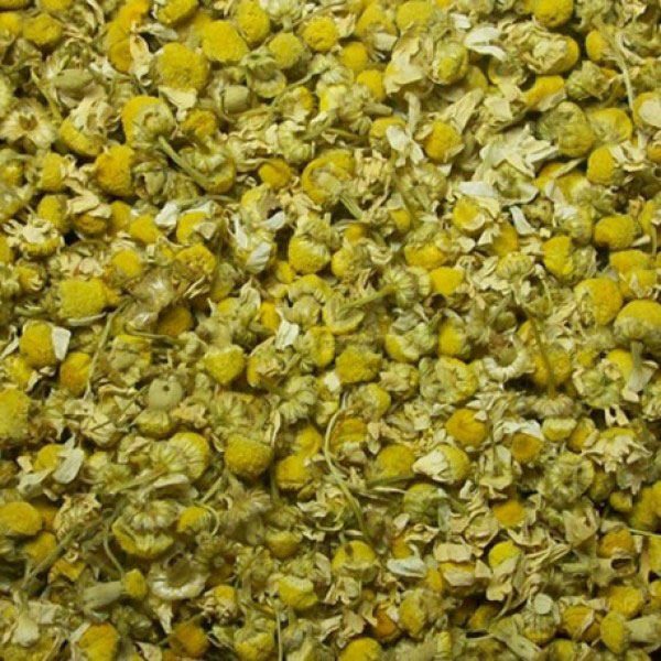 infusion-manzanilla-600x600